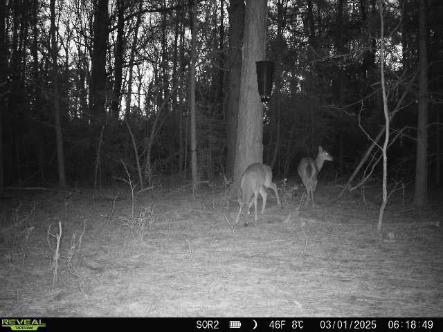 1165 County Road 3064, Kirbyville, TX 75966 - photo 29