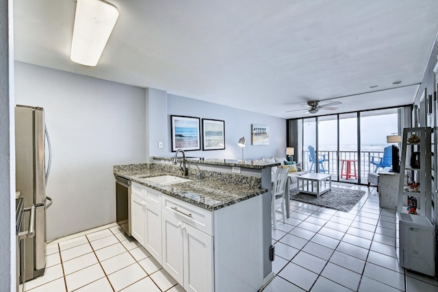 kitchen with ceiling fan, open floor plan, floor to ceiling windows, stainless steel appliances, and a sink