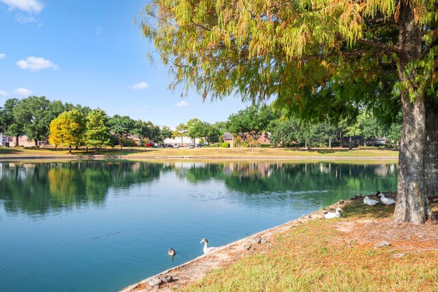 16935 Valley Palms Dr, Spring, TX 77379 - water view