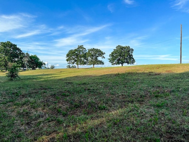 6275 County Road 206, Plantersville, TX 77363 - photo 1