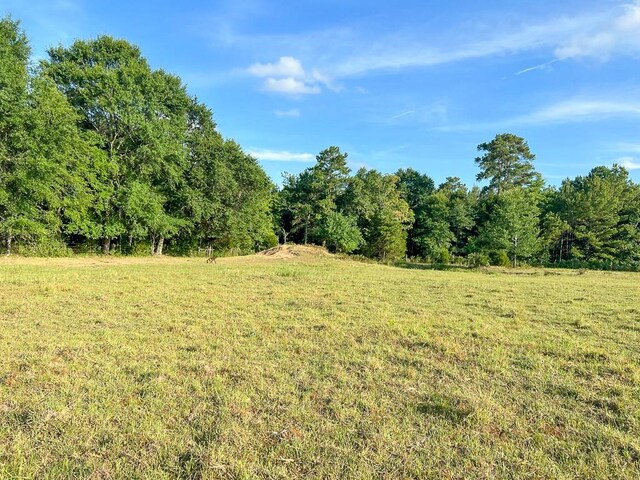 6275 County Road 206, Plantersville, TX 77363 - photo 3