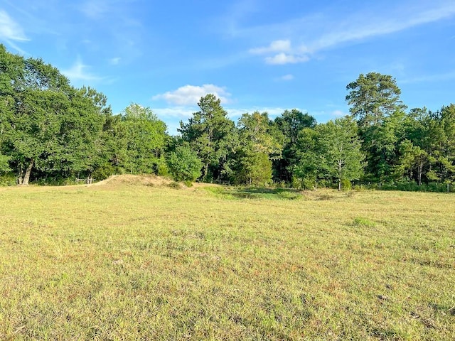 6275 County Road 206, Plantersville, TX 77363 - photo 4