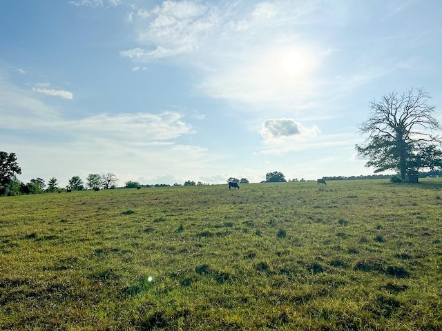 6275 County Road 206, Plantersville, TX 77363 - photo 5