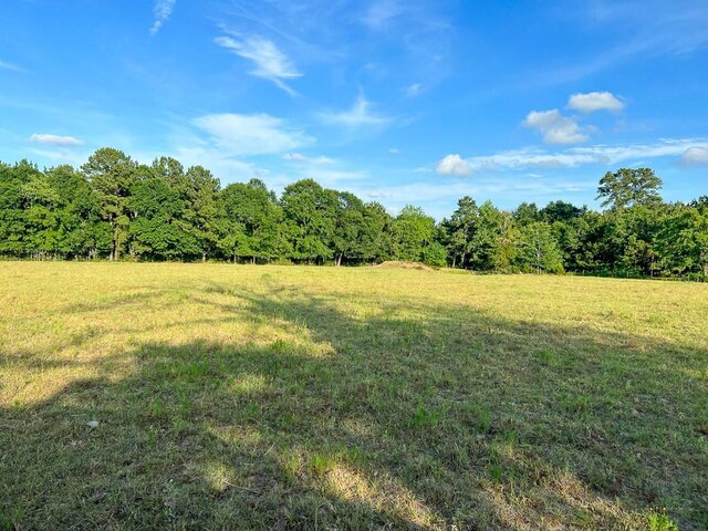 6275 County Road 206, Plantersville, TX 77363 - photo 8