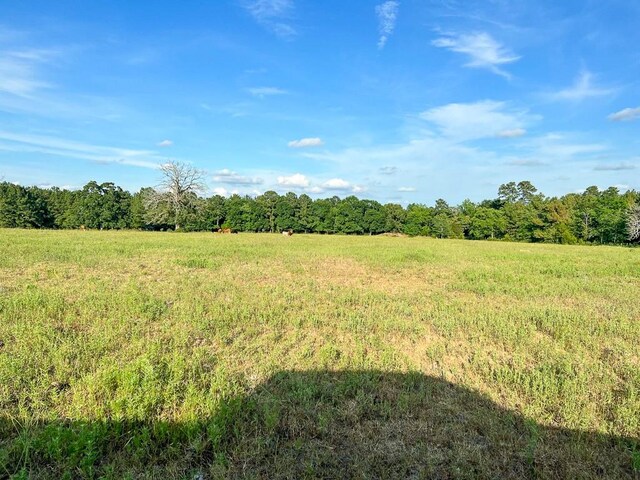 6275 County Road 206, Plantersville, TX 77363 - photo 9