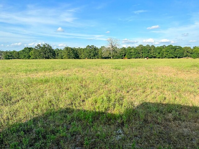 6275 County Road 206, Plantersville, TX 77363 - photo 10