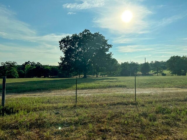 6275 County Road 206, Plantersville, TX 77363 - photo 11