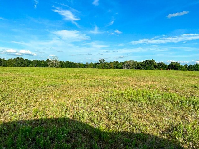 6275 County Road 206, Plantersville, TX 77363 - photo 14