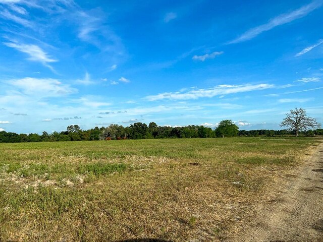 6275 County Road 206, Plantersville, TX 77363 - photo 15