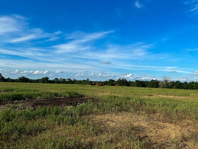 6275 County Road 206, Plantersville, TX 77363 - photo 16