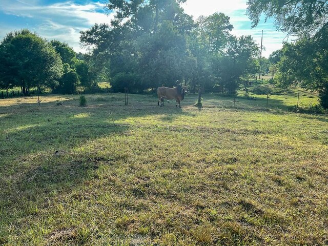 6275 County Road 206, Plantersville, TX 77363 - photo 17