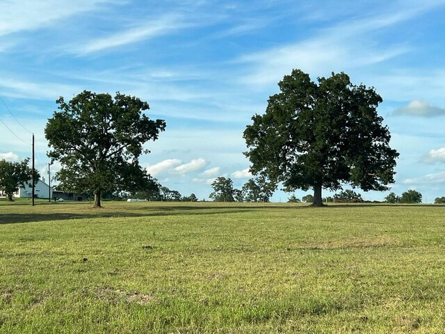 6275 County Road 206, Plantersville, TX 77363 - photo 19
