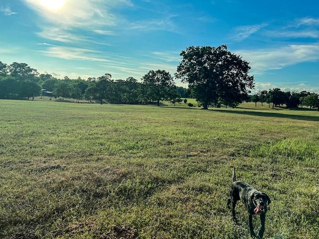 6275 County Road 206, Plantersville, TX 77363 - photo 21