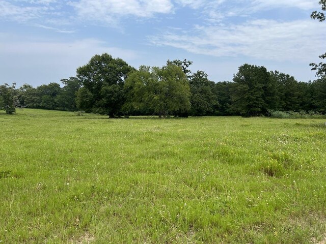 6275 County Road 206, Plantersville, TX 77363 - photo 22