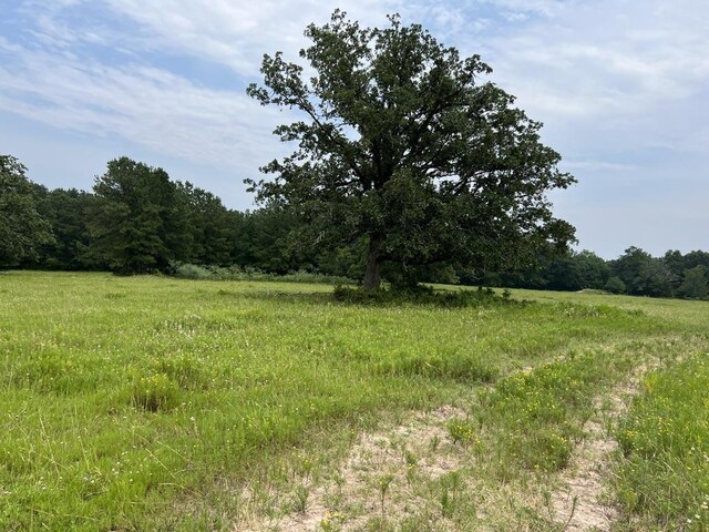 6275 County Road 206, Plantersville, TX 77363 - photo 23