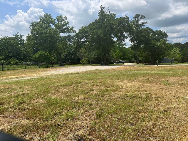 6275 County Road 206, Plantersville, TX 77363 - photo 31