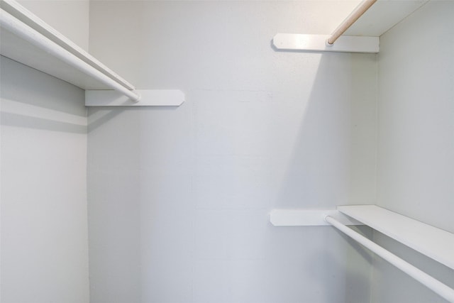4029 Briar Hollow Dr, Dickinson, TX 77539 - view of walk in closet