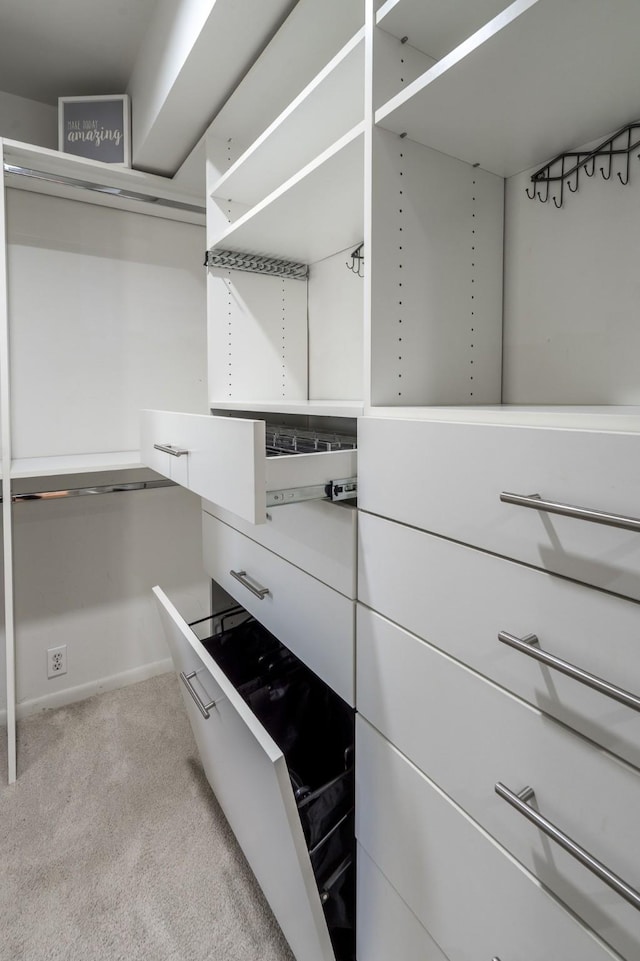 1395 Arlington St Unit 1395, Houston, TX 77008 - spacious closet with carpet