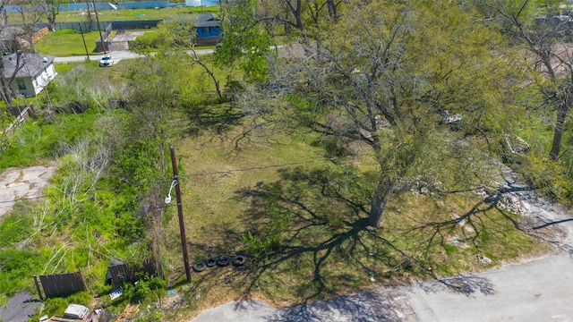7206 Tippett St, Houston, TX 77088