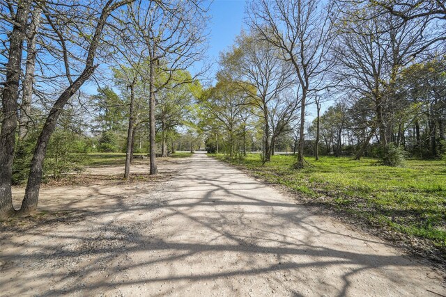 1893 US Highway 190th Dr, Huntsville, TX 77340 - photo 9