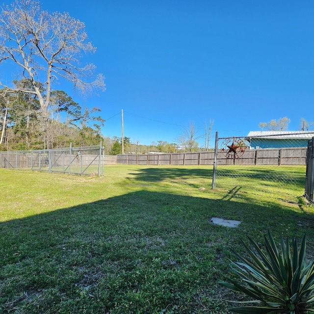 934 N Fm 356, Onalaska, TX 77360 - view of yard