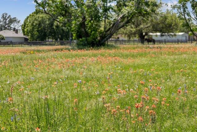 17207 Penick Rd, Waller, TX 77484 - view of yard