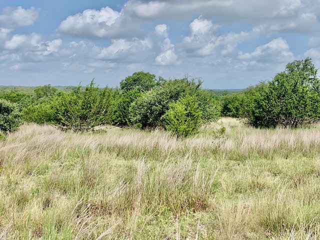 107 Ira Long, Blanco, TX 78606 - photo 1