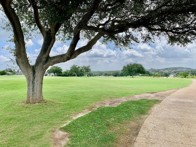 107 Ira Long, Blanco, TX 78606 - photo 4