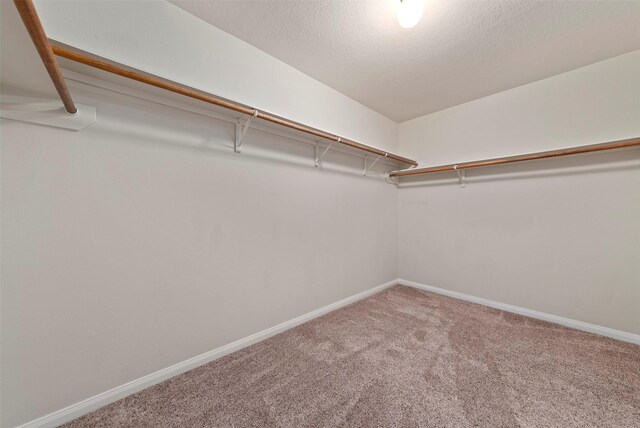 6906 Chessgate Falls Ln, Rosenberg, TX 77469 - spacious closet featuring carpet