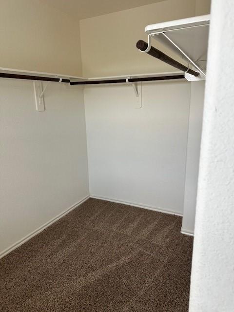 13830 Bonner Bluff Ln, Houston, TX 77047 - spacious closet featuring dark colored carpet