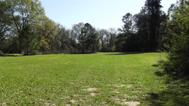 24030 Hegar Rd, Hockley, TX 77447 - photo 3