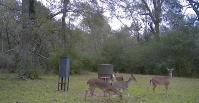 24030 Hegar Rd, Hockley, TX 77447 - photo 1