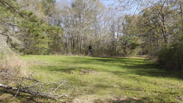 24030 Hegar Rd, Hockley, TX 77447 - photo 4