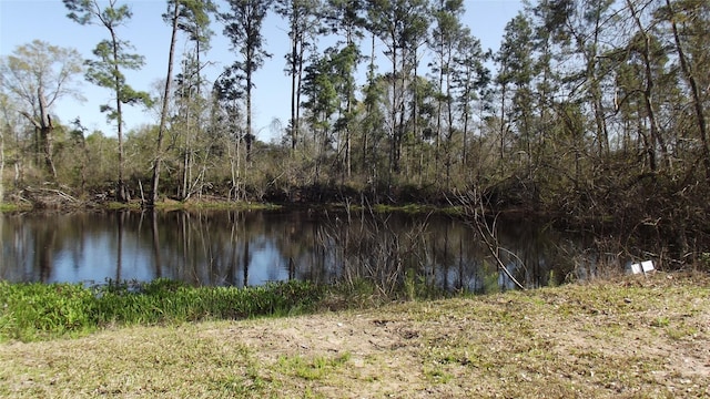 24030 Hegar Rd, Hockley, TX 77447 - photo 5