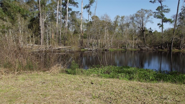 24030 Hegar Rd, Hockley, TX 77447 - photo 6