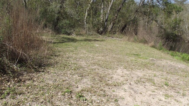 24030 Hegar Rd, Hockley, TX 77447 - photo 8