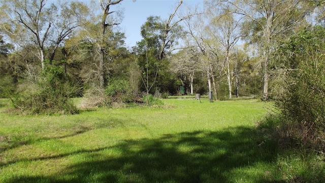 24030 Hegar Rd, Hockley, TX 77447 - photo 9