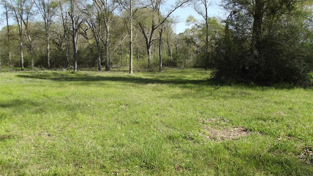 24030 Hegar Rd, Hockley, TX 77447 - photo 10