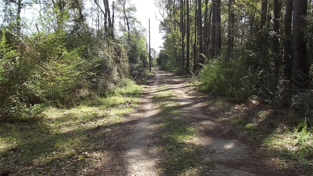 24030 Hegar Rd, Hockley, TX 77447 - photo 11