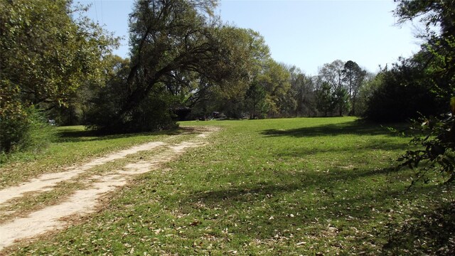 24030 Hegar Rd, Hockley, TX 77447 - photo 12