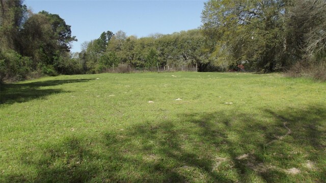 24030 Hegar Rd, Hockley, TX 77447 - photo 14