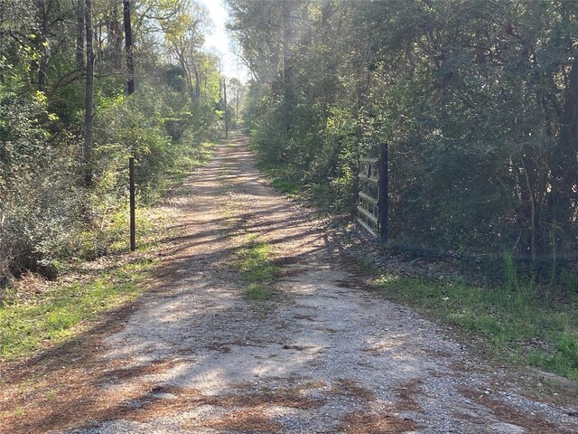 24030 Hegar Rd, Hockley, TX 77447 - photo 17