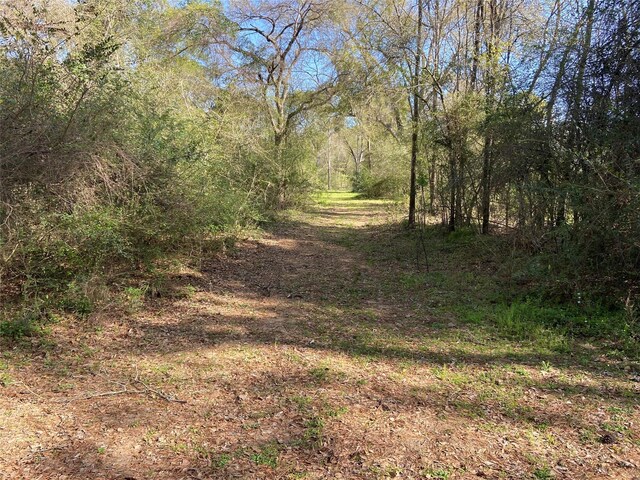 24030 Hegar Rd, Hockley, TX 77447 - photo 18