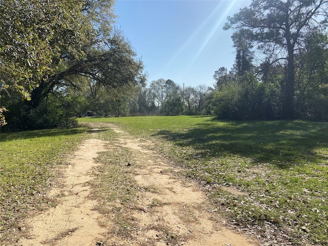 24030 Hegar Rd, Hockley, TX 77447 - photo 19