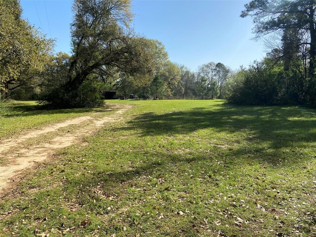 24030 Hegar Rd, Hockley, TX 77447 - photo 20