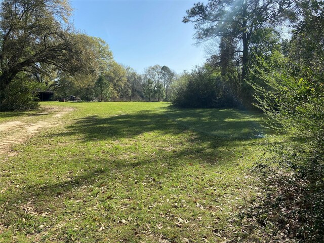 24030 Hegar Rd, Hockley, TX 77447 - photo 22