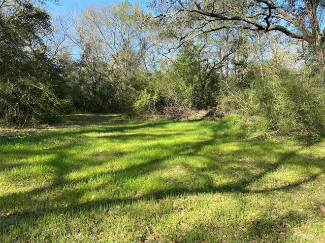 24030 Hegar Rd, Hockley, TX 77447 - photo 23