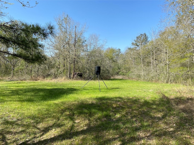24030 Hegar Rd, Hockley, TX 77447 - photo 27