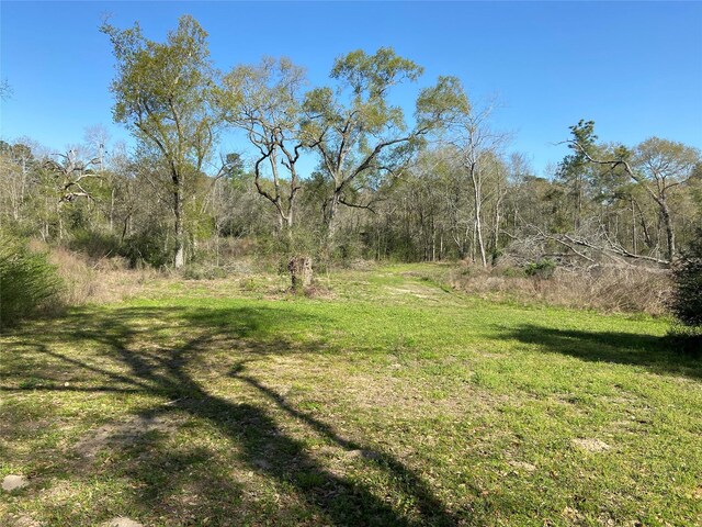 24030 Hegar Rd, Hockley, TX 77447 - photo 24