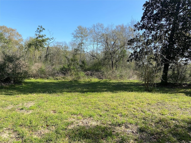 24030 Hegar Rd, Hockley, TX 77447 - photo 25